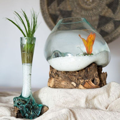 Organic Glass Vase - LaLunaLifestyle